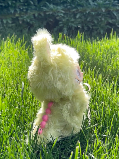 Original Design Zimomo‘s Garden