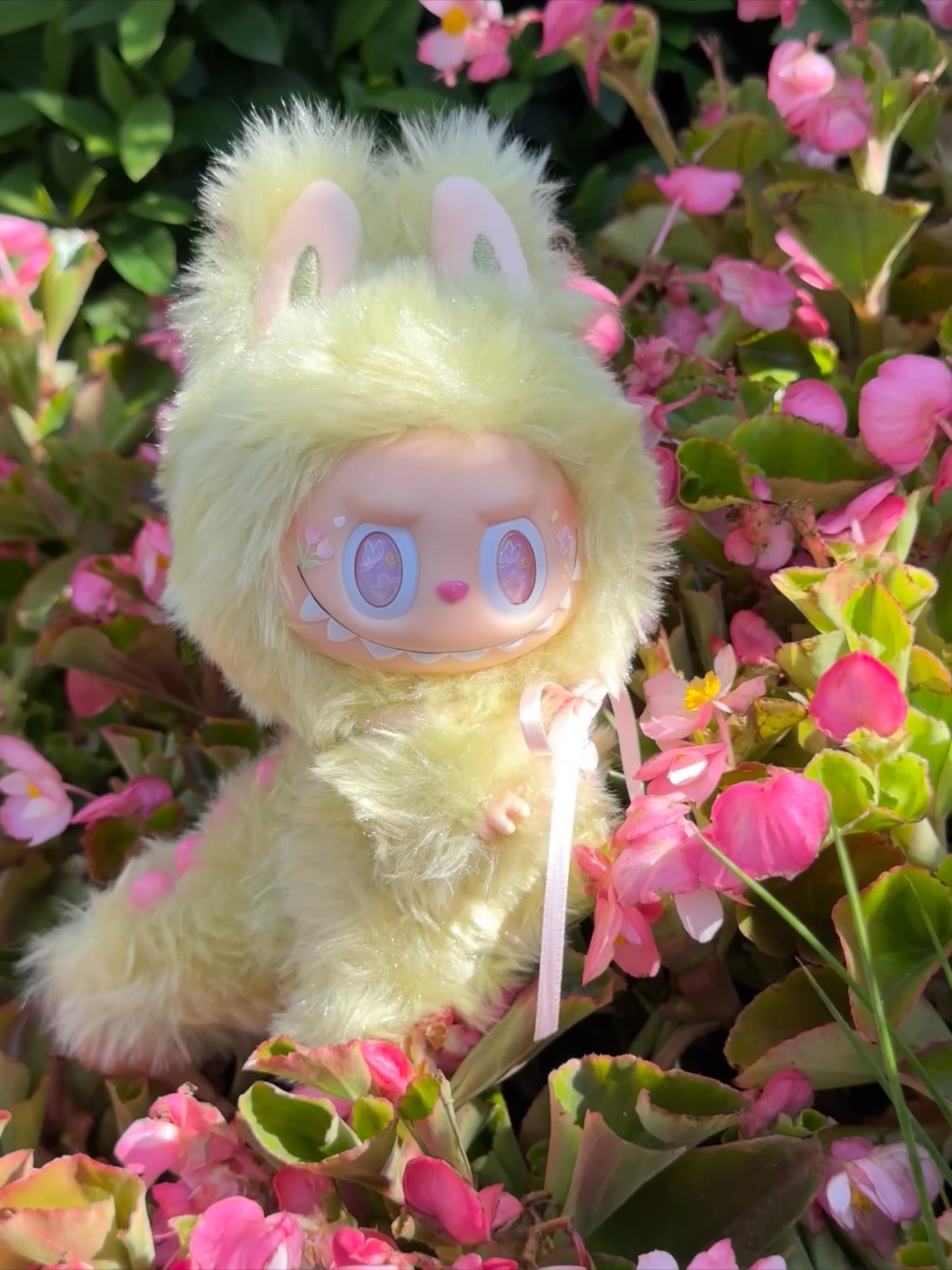 Original Design Zimomo‘s Garden