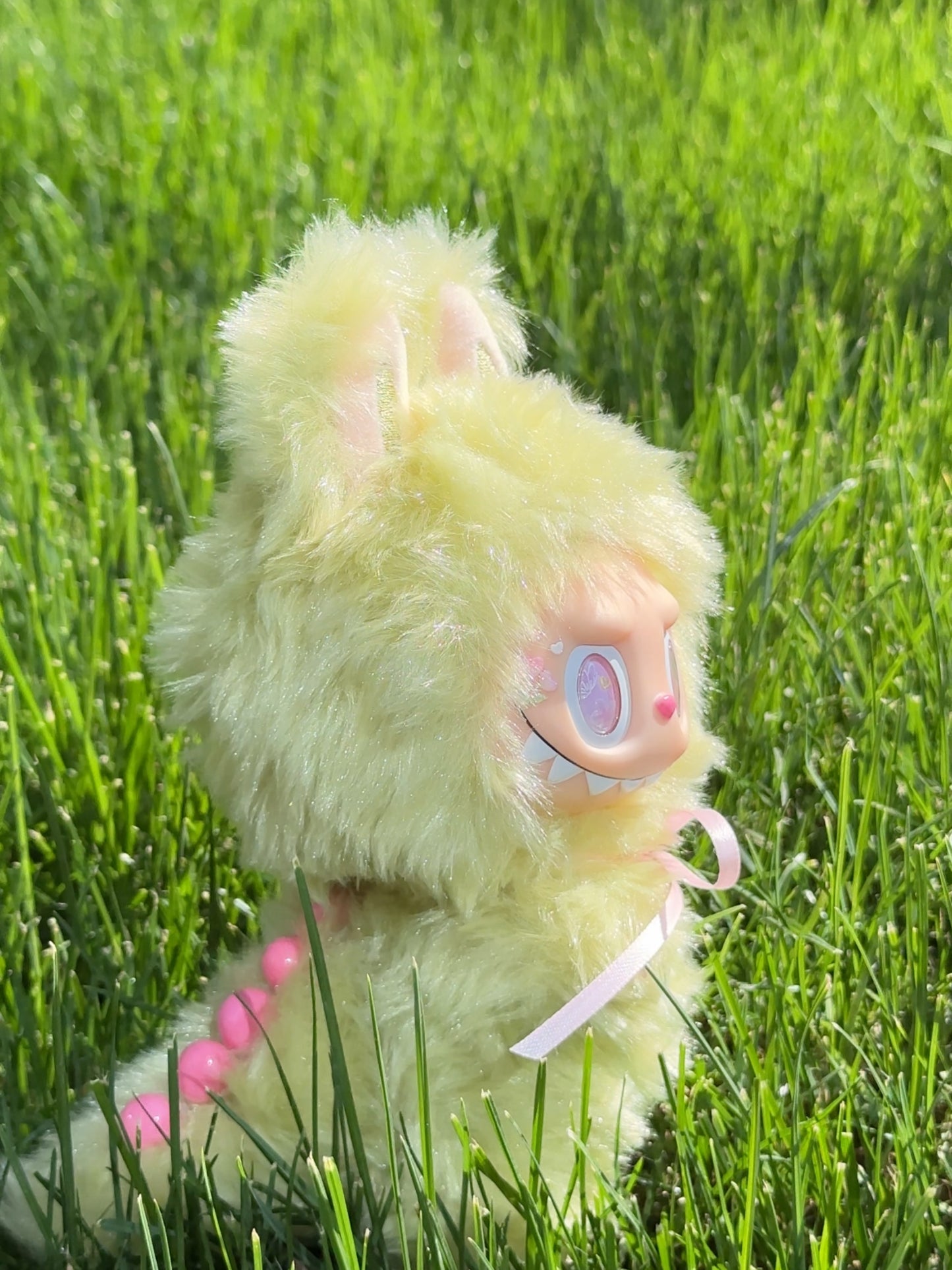 Original Design Zimomo‘s Garden