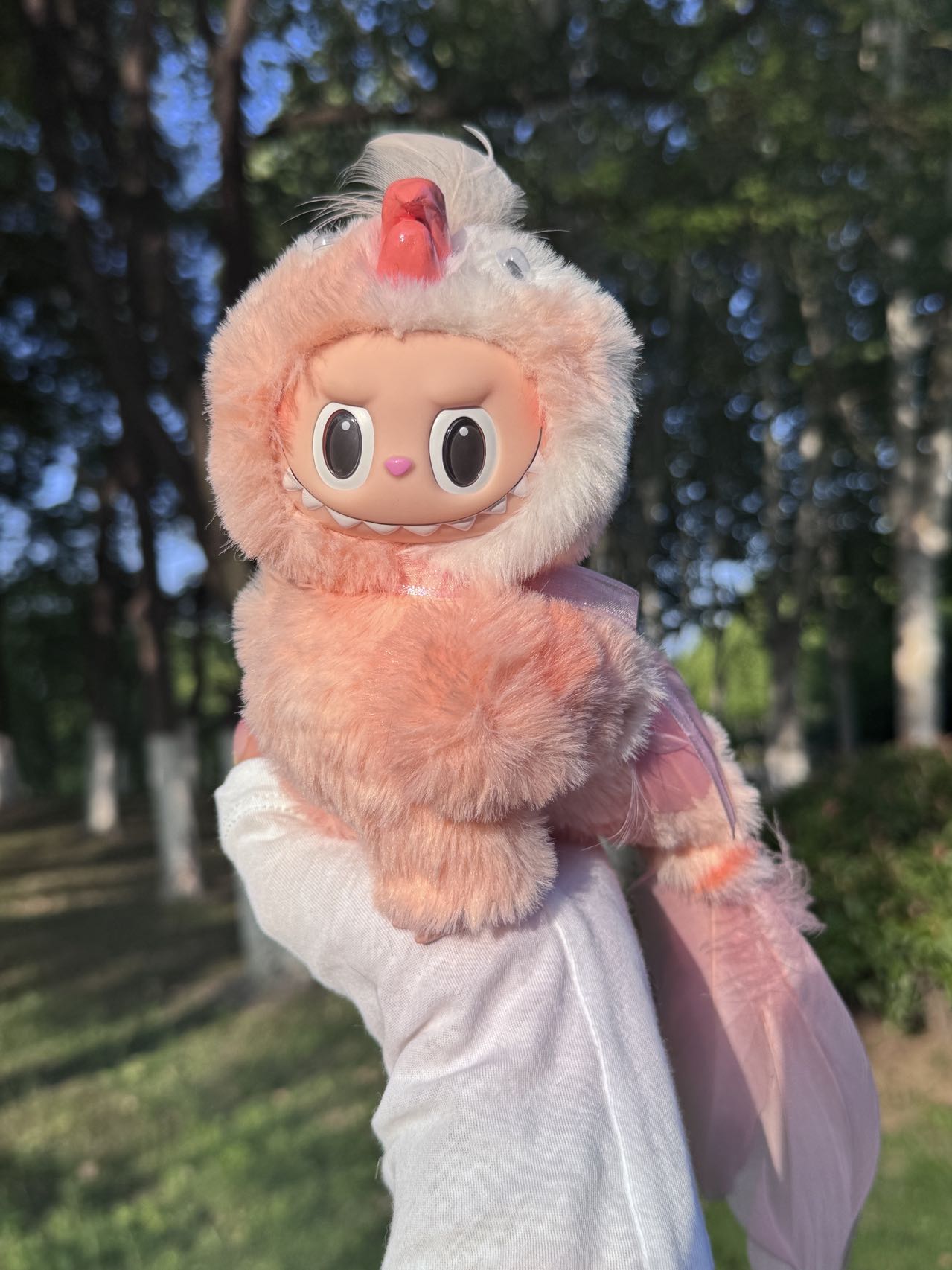 Original Design Rainbow Parrot - Orange