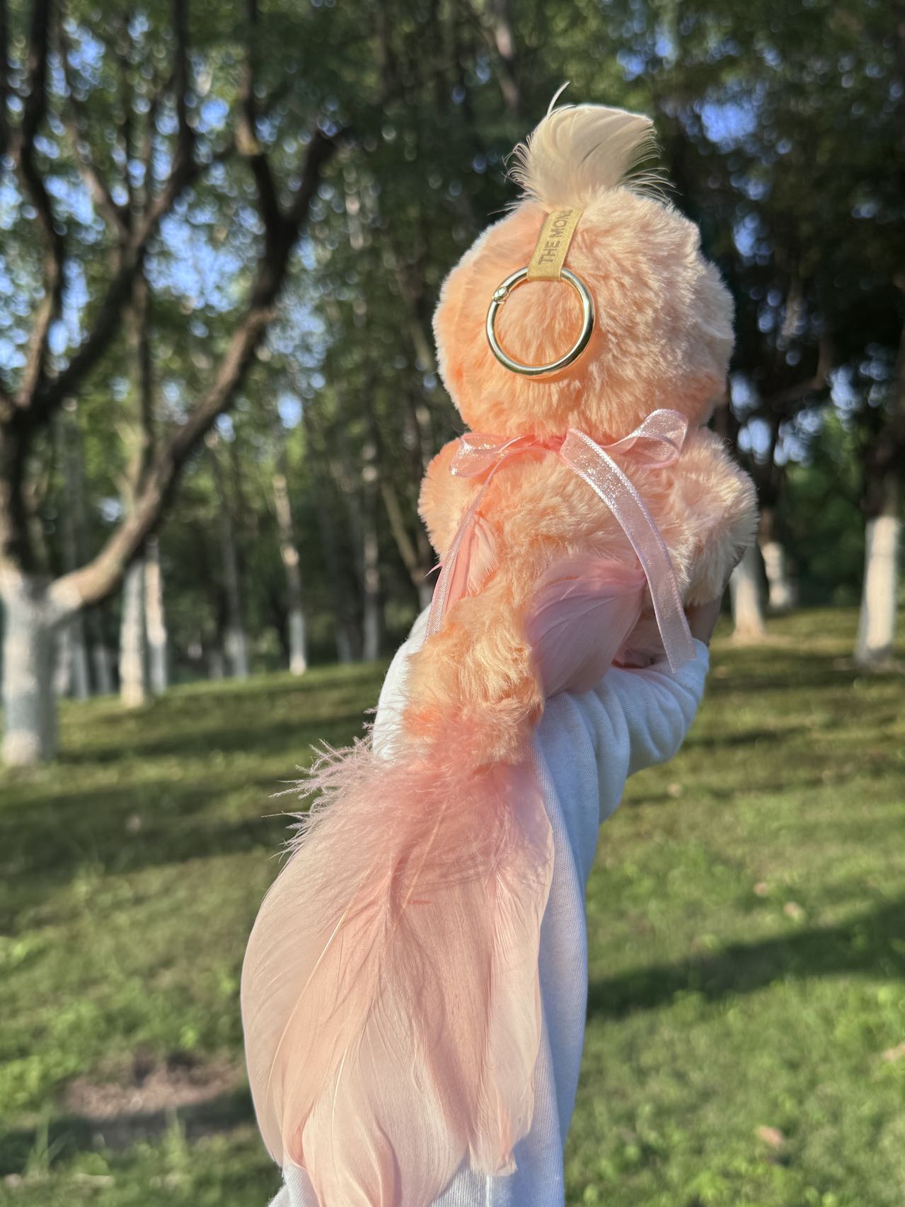 Original Design Rainbow Parrot - Orange