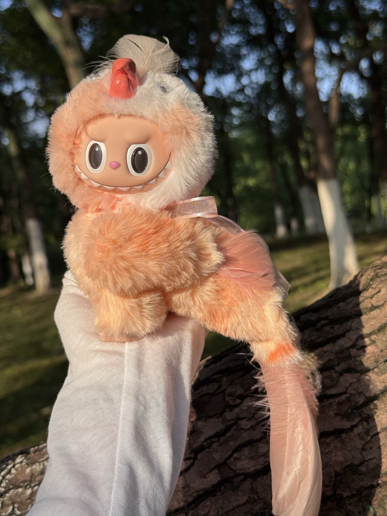 Original Design Rainbow Parrot - Orange