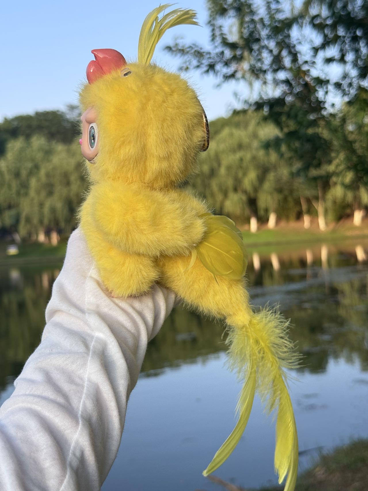 Original Design Rainbow Parrot - Yellow