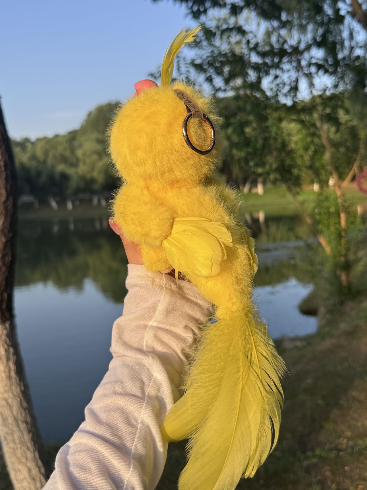 Original Design Rainbow Parrot - Yellow