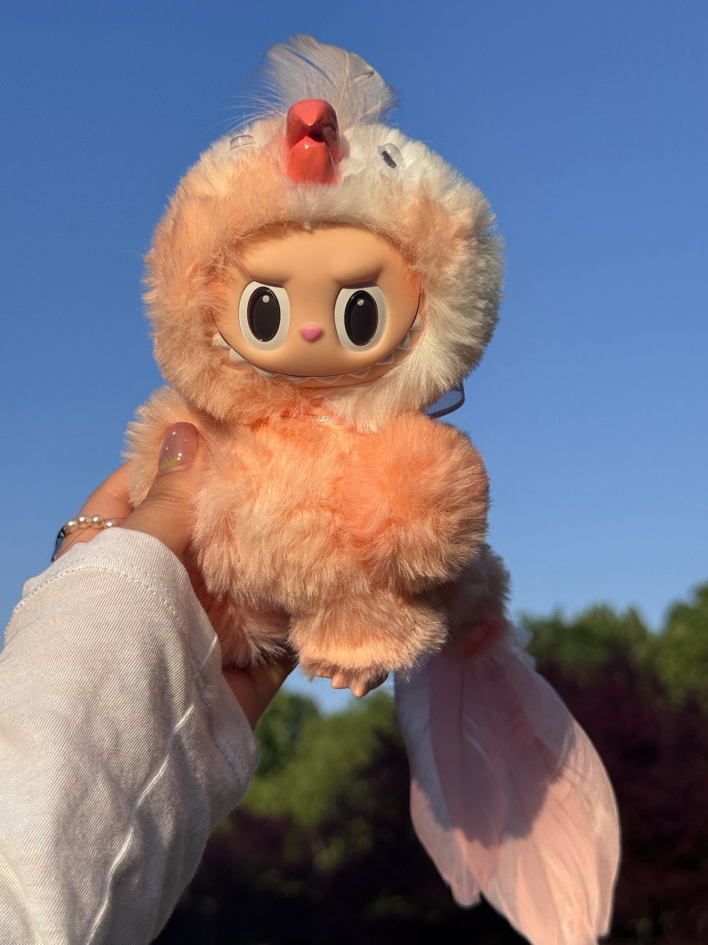 Original Design Rainbow Parrot - Orange